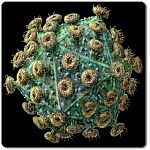 un nuovo virus