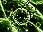 Parainfluenza Virus