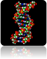 dna(1).gif