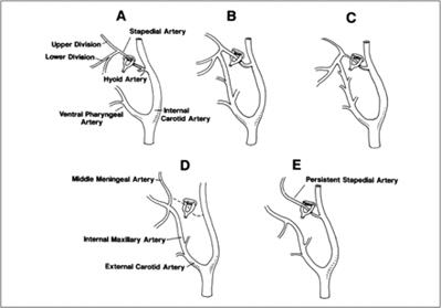 fig 6.