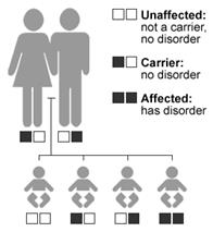 Illustrazione mostrando che due genitori portatori avranno un 1 possibilità su 4 di avere un bambino con la malattia, a 2 possibilità su 4 di avere un bambino che è un vettore, e un 1 possibilità su 4 di avere un bambino che non ha il disturbo né è un vettore.