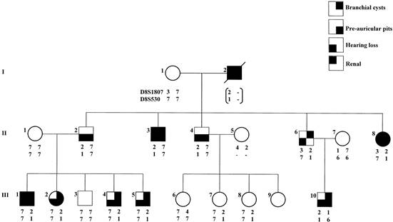 http://ndt.oxfordjournals.org/content/17/6/1014/F1.large.jpg