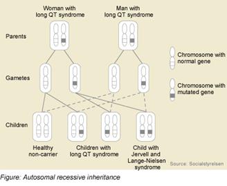 Figure: Autosomal recessive inheritance