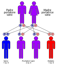 http://upload.wikimedia.org/wikipedia/commons/thumb/6/6e/Autorecessive-it.svg/220px-Autorecessive-it.svg.png