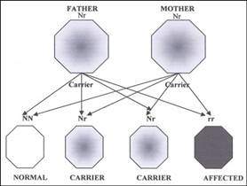 AccesAudio_Nov09_Figure201