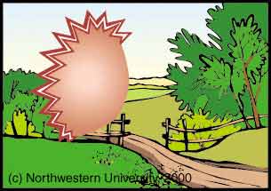 http://www.dizziness-and-balance.com/disorders/central/migraine/images/migraine_scotoma_odc.jpg