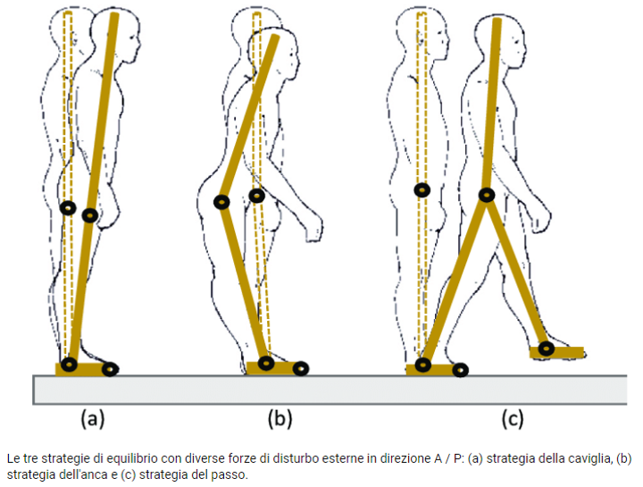 Fig. 1 Strategia di caviglia (A) e strategia di anca (B).