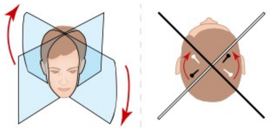 Il video head impulse test (vHIT)