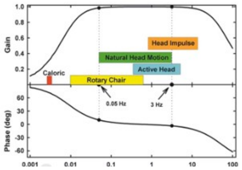 Il video head impulse test (vHIT)